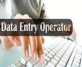 Online Course Certificate in Domestic Data Entry Operator