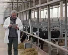 Online courses Diploma in Dairy Farm Supervisor