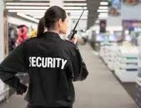 Online course Diploma in Security Supervisor