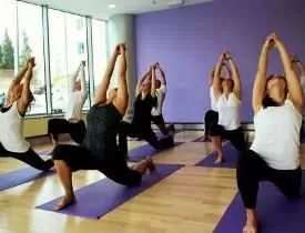 Yoga Teachers' Training Programme